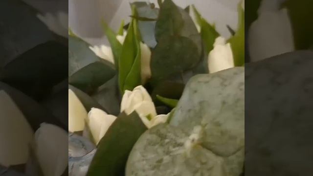 Букет белых тюльпанов с эвкалиптом в упаковке 51 шт "Утренняя прохлада"