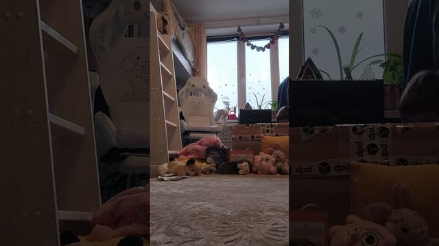 город котов неожиданное путешествие падение самолёта
