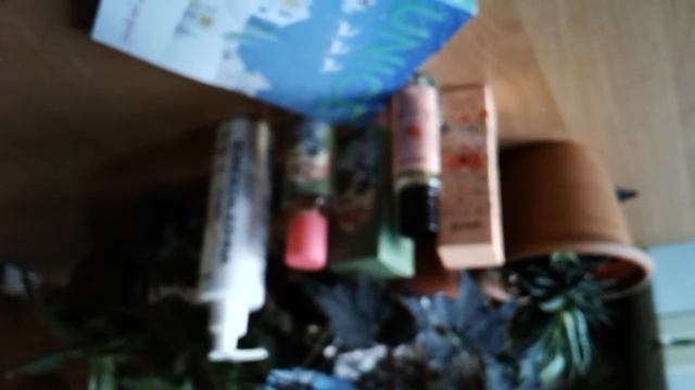 Ароматы Юнайс.