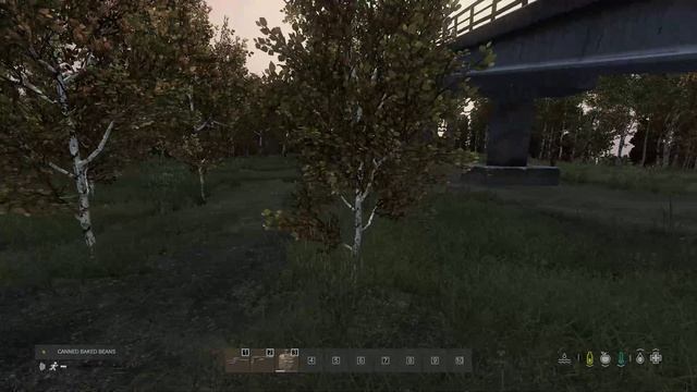DayZ 2025-03-02 14-27-46