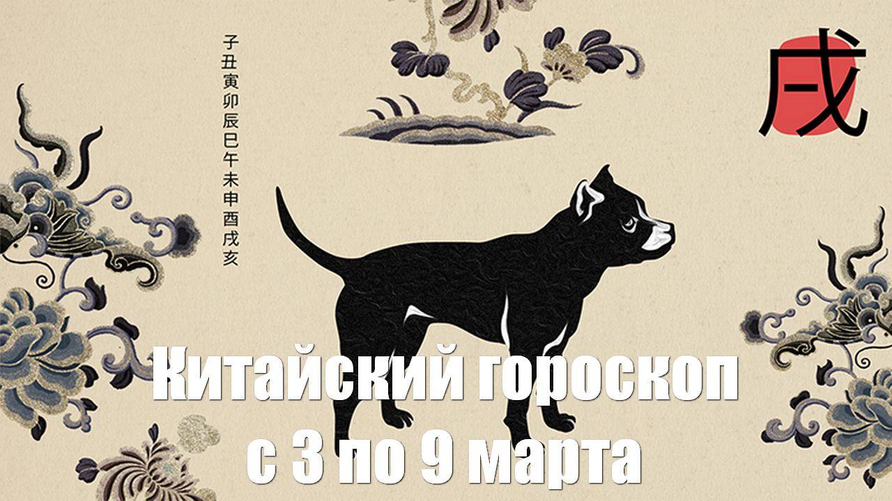 Китайский гороскоп на неделю с 3 по 9 марта (Не Тамара Глоба)