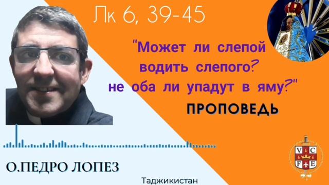 Может быть слепой водить слепого? Не оба ли упадут в яму?