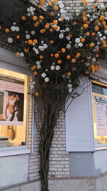 Украсили вход в салон