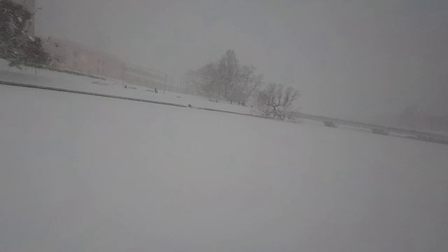 Нижнее озеро. Калининград