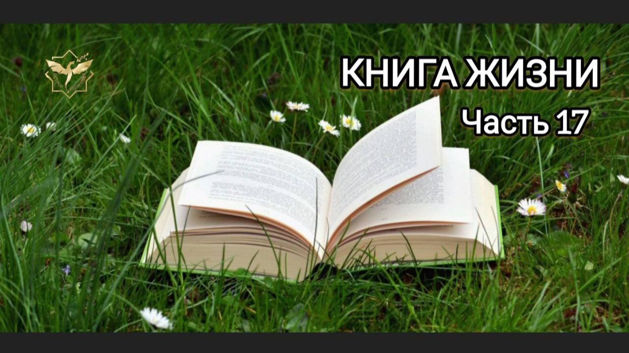 КНИГА ЖИЗНИ (Часть 17)