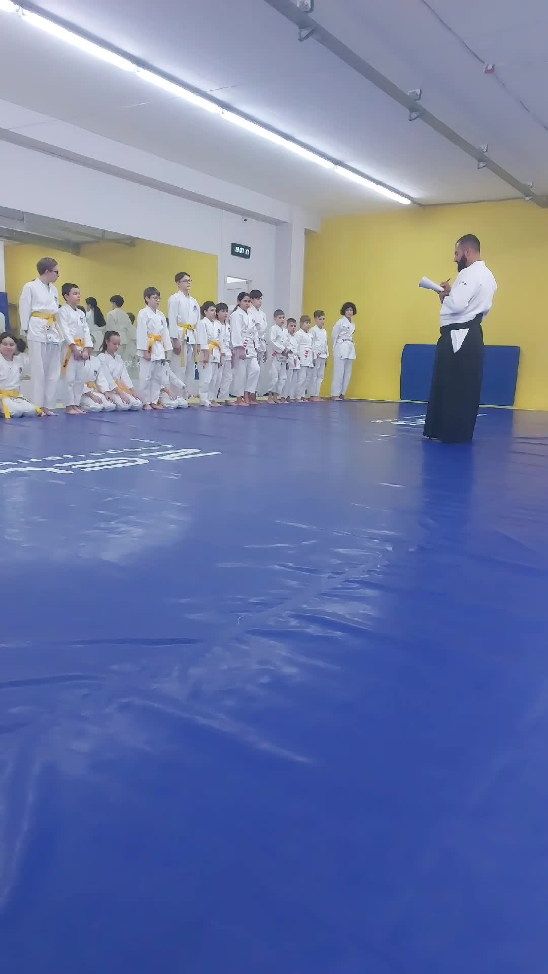 айкидо