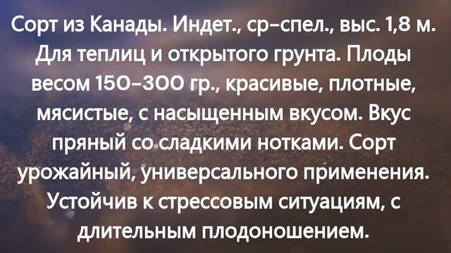 ТОМАТЫ. КАТАЛОГ  томатов на 2025 год.  г. Киров