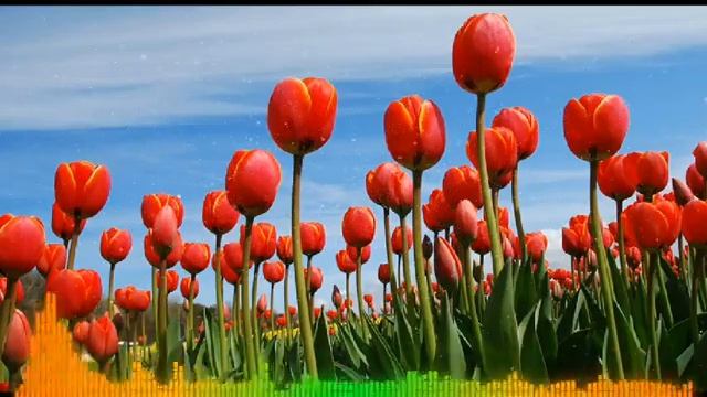 ОСТАП ПАРФЕНОВ - ТЮЛЬПАН (DANIKFM REMIX)
