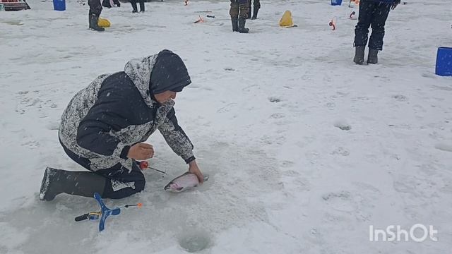 Сегодня в Липках