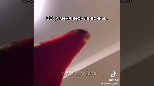 Коротко о Синей звезде
