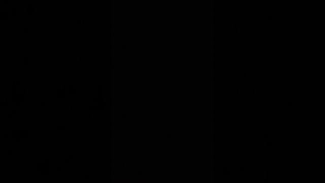1000004994.mp4