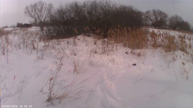 друг получил за свои приколы