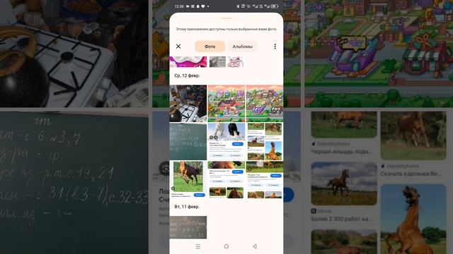 1000022743.mp4