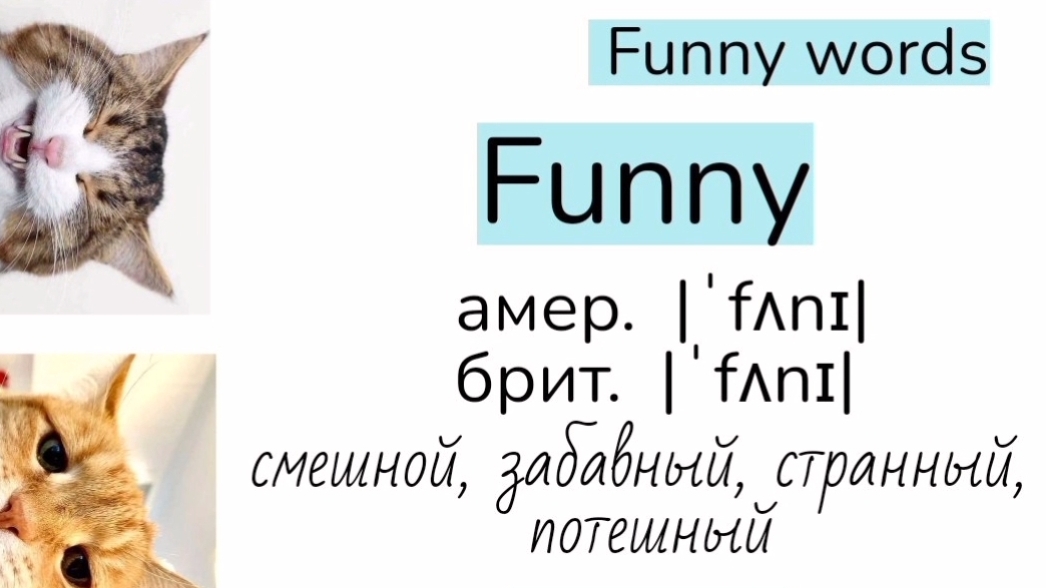 Words related to funny/слова, близкие по значению к слову funny (смешной)