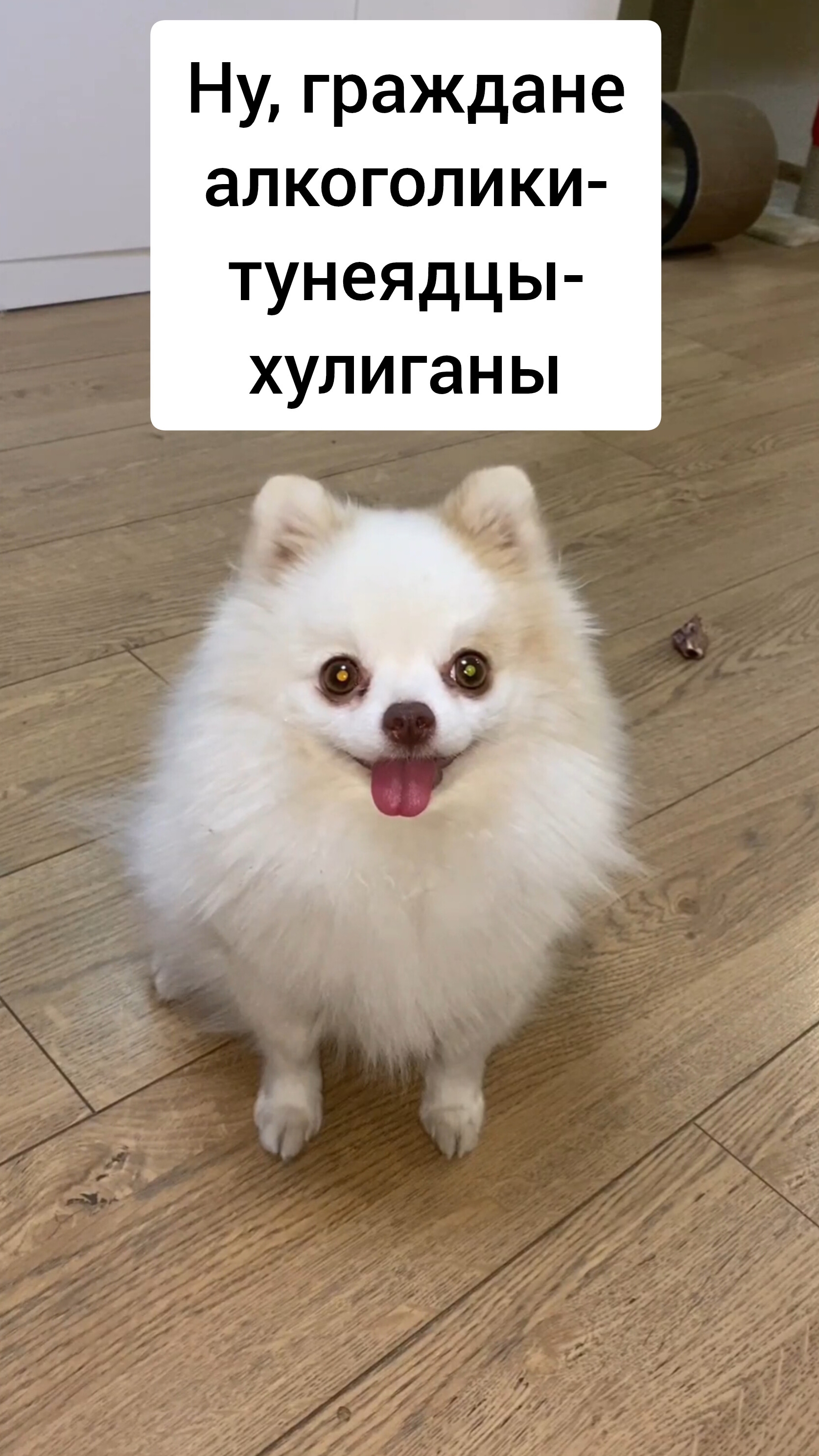 Ну, граждане алкоголии-тунеядцы-хулиганы...