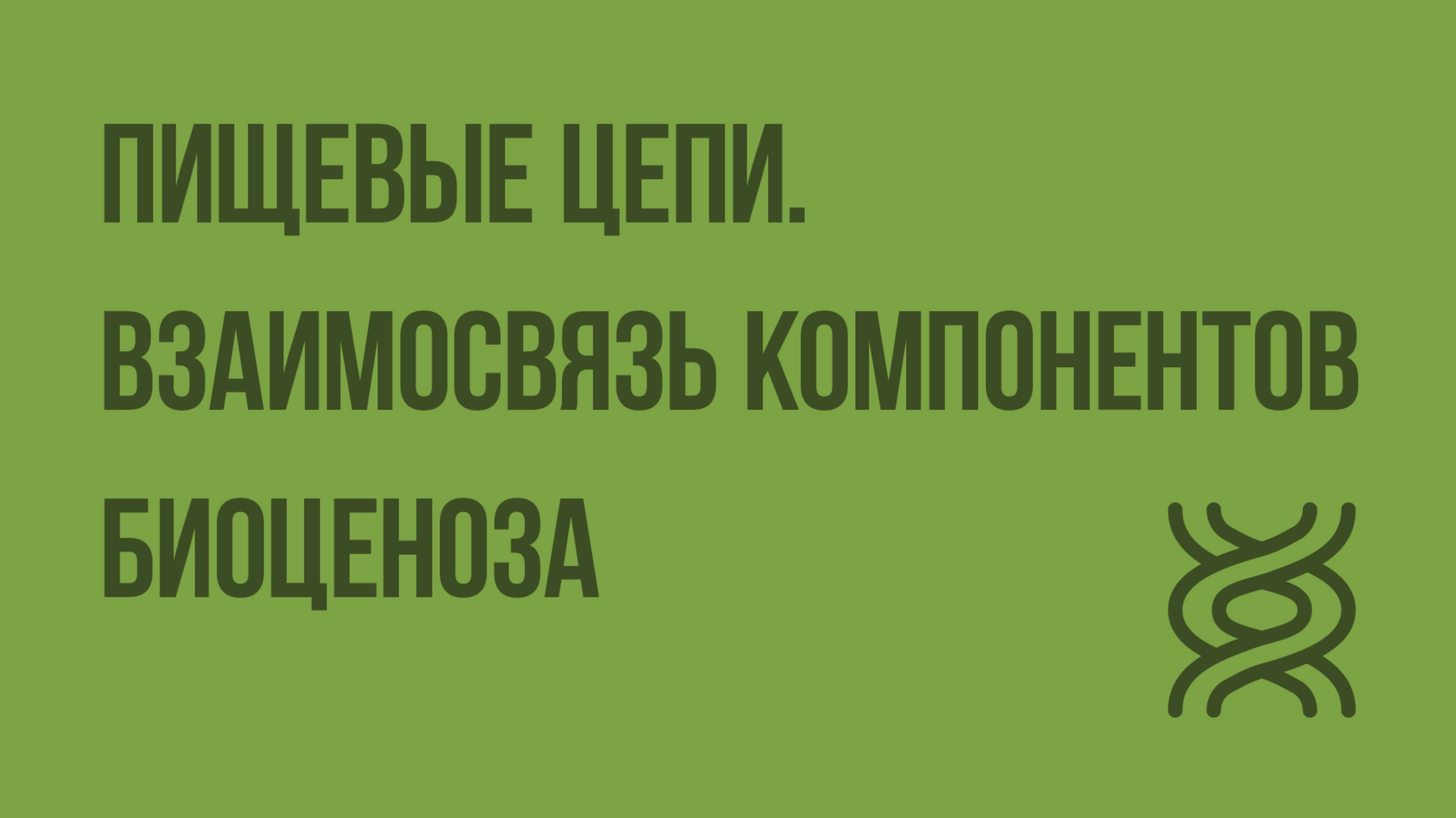 Пищевые цепи. Взаимосвязь компонентов биоценоза. Видеоурок по биологии 7 класс