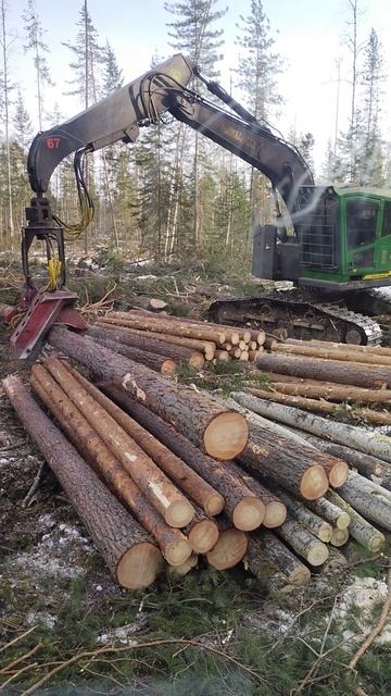 здесь лапы у елей дрожат на....