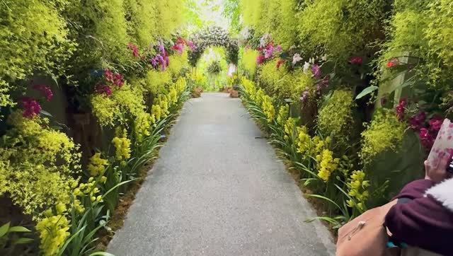 САДЫ ЯПОНИИ ПРЕКРАСНЫЙ БОТАНИЧЕСКИЙ САД МАКИНО Orchid Exhibition 2025.