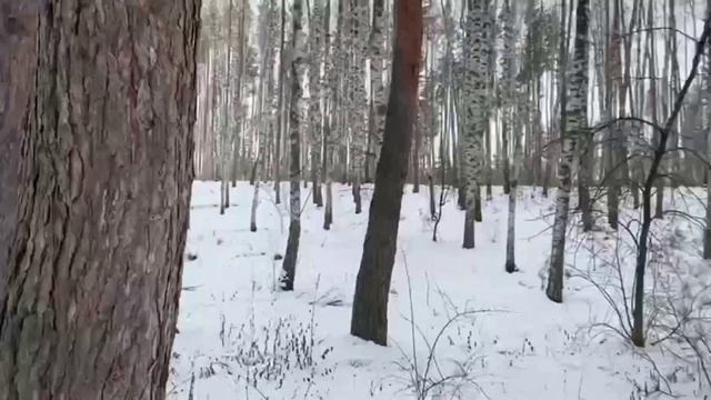 Покатушки на плюшке