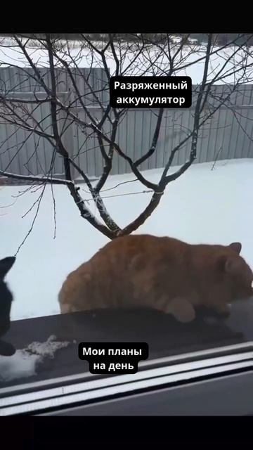 Разряженный аккумулятор рушит планы? Возьми взлет и реши проблему на корню!