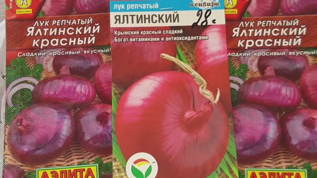 Крупный лук из семян за сезон. Без пикировки, на бумаге и  важные 33 штамма.