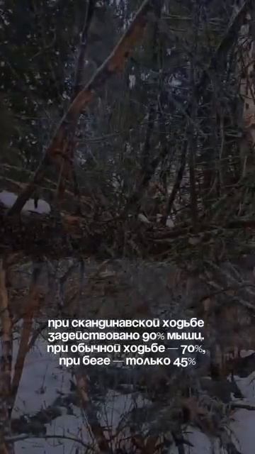 Я нашел новое хобби, благодаря этим фактам