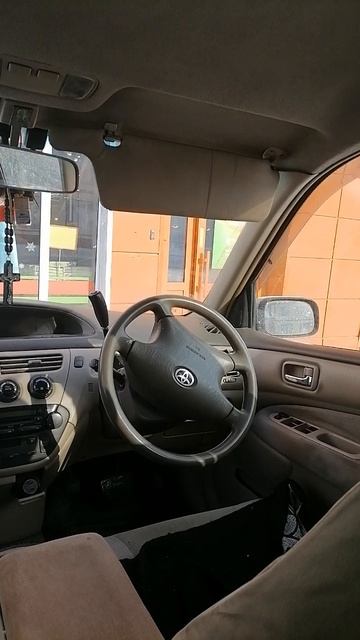 Рыжий кот в