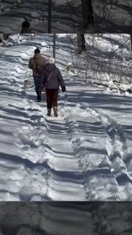 Прогулка с Джеком