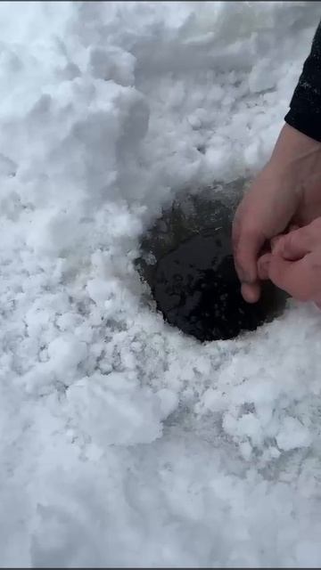 улов