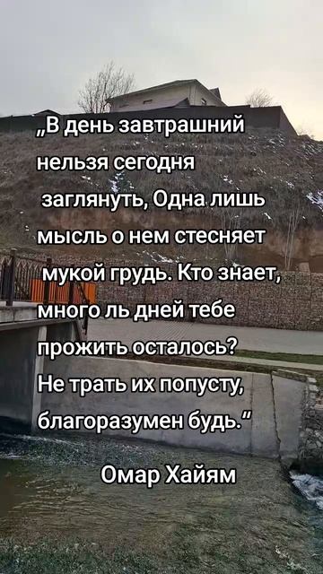 Жизнь.