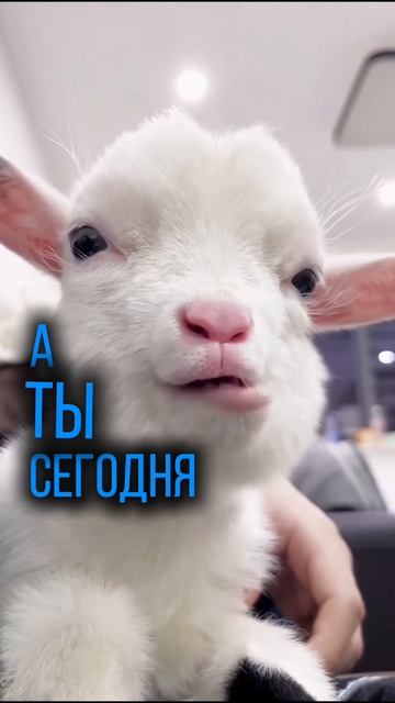 А ты сегодня рисовал?