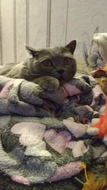 Я не могу без тебя❤️