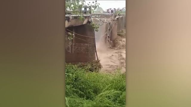 Случаи в Природе Один на Миллион