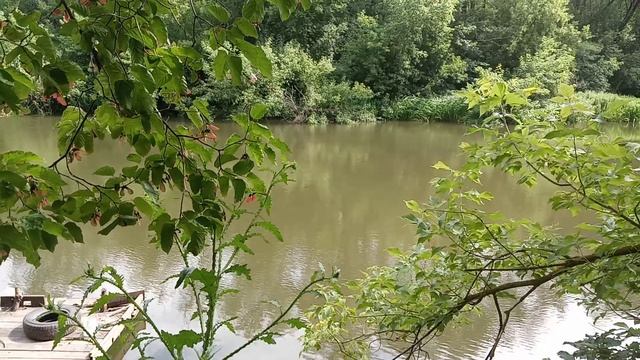 VID_20230713_145043