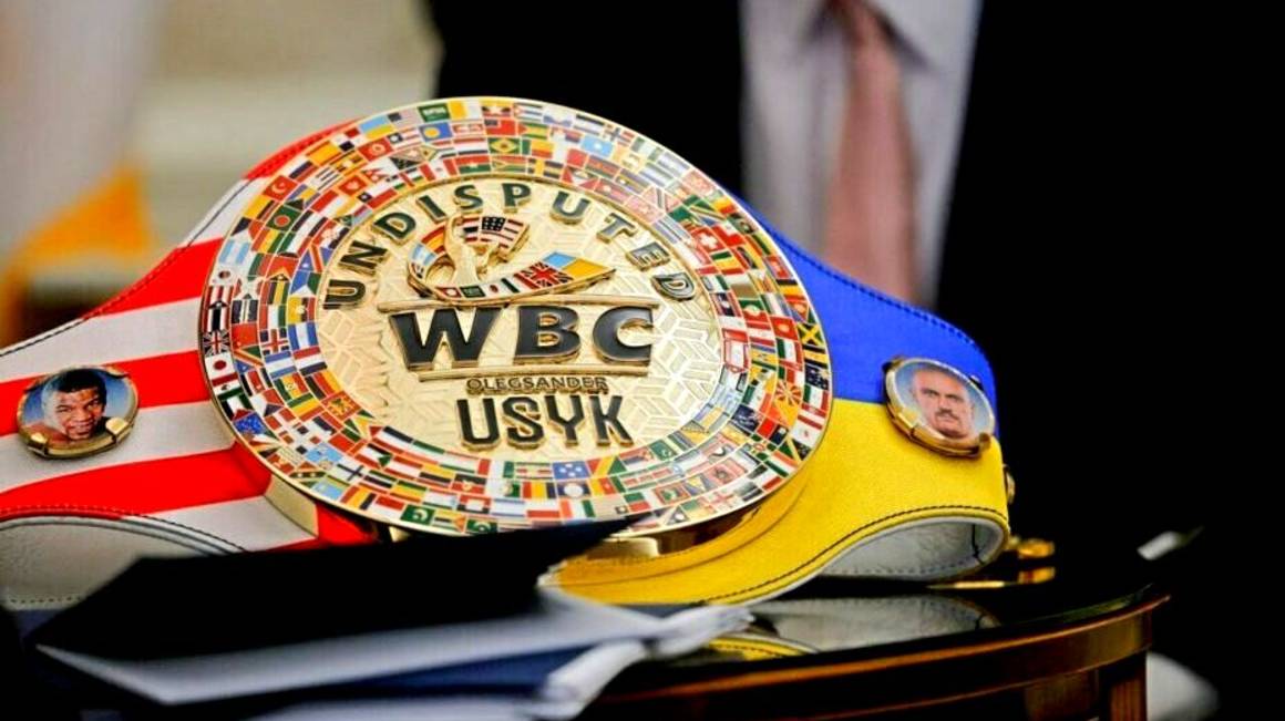 Журова оценила идею Зеленского принести на встречу с Трампом чемпионский пояс Усика