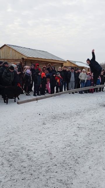 Баран 🐏 забавы масляничные #казачьеподворье #масленица