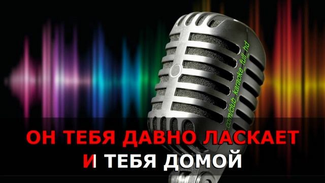1000007776.ts