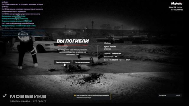 Мой 195195 , Нарушитель 163109 , ДМ .