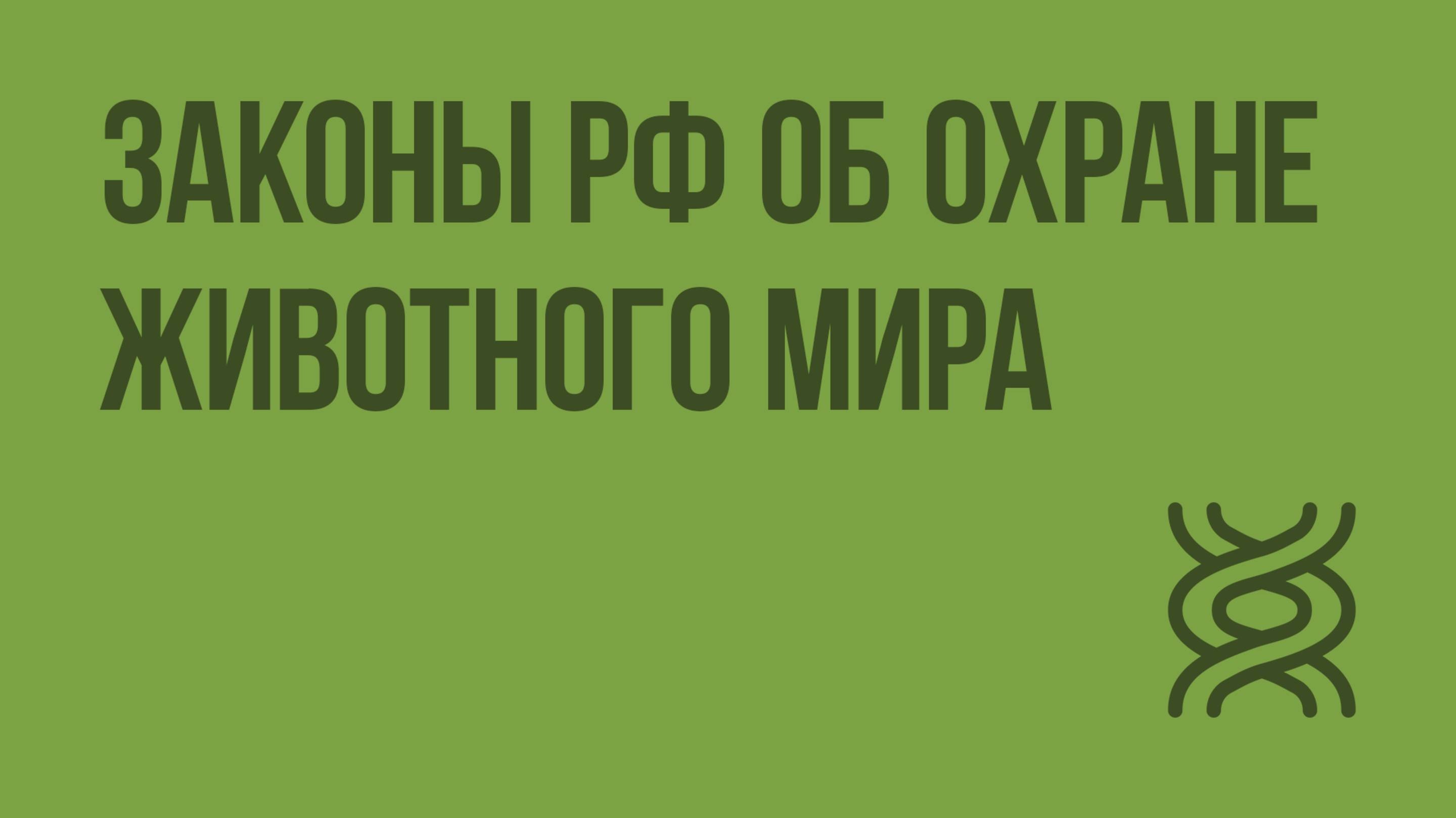 Законы РФ об охране животного мира. Охрана и рациональное использование животного мира. Видеоурок