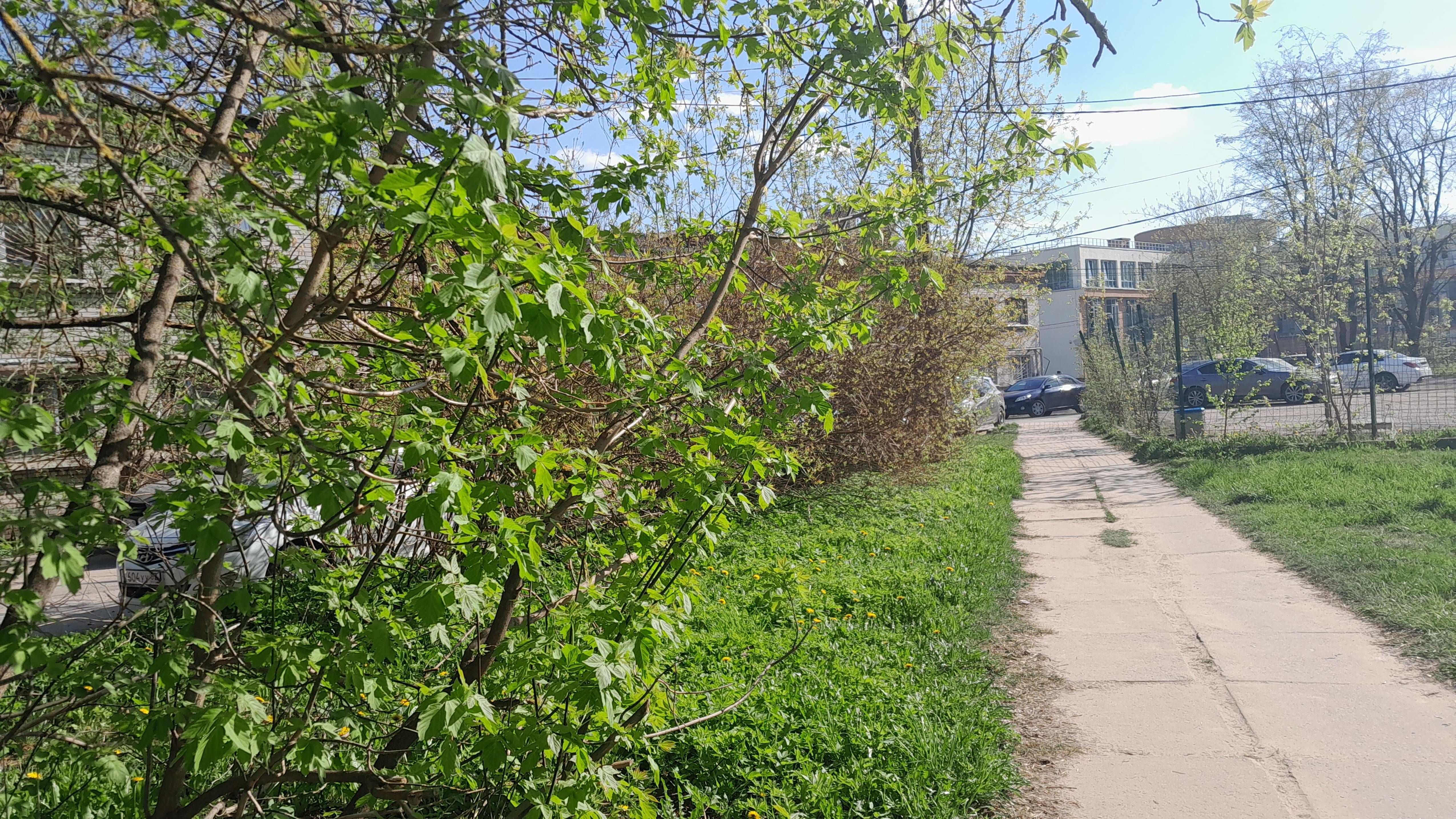 Ирина Одарчук Паули трек Идёт весна 2025