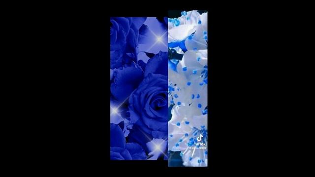 Цветы 3.