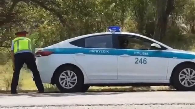 проводит магический обряд 😂😂
