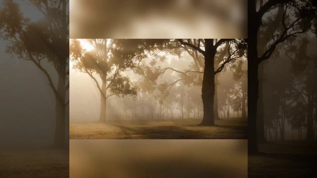Мистические аудиорассказы от подписчиков канала/истории на ночь#77/Mystic stories/Histórias mística