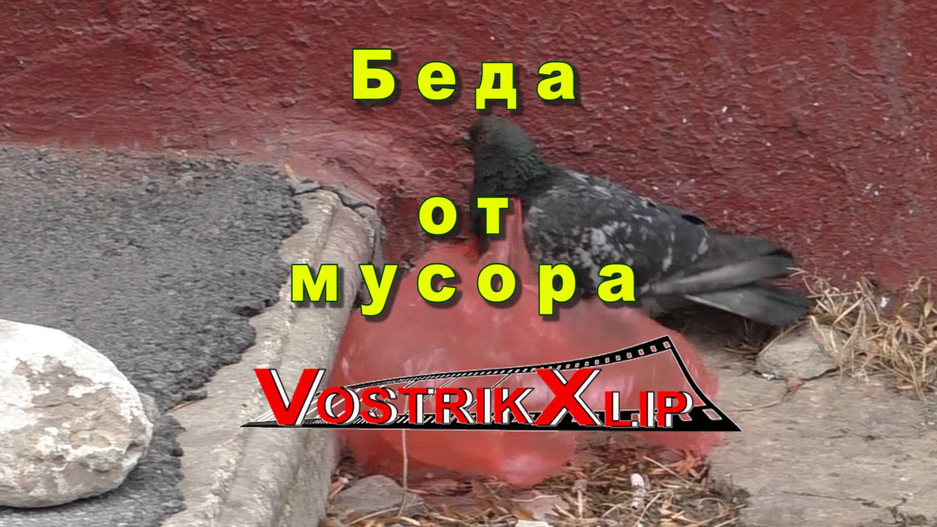 Беда от мусора