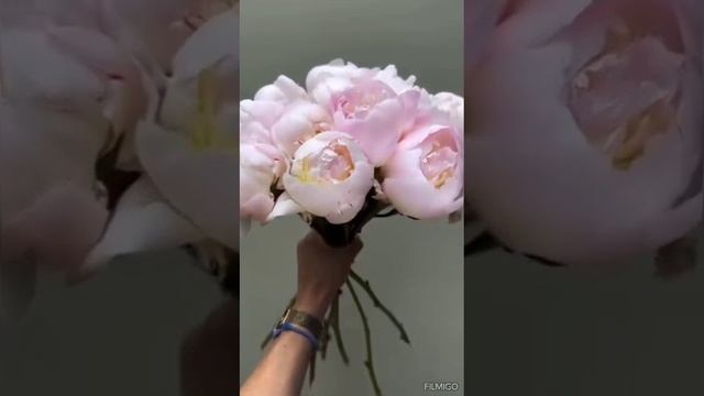 Любовь и сострадание.
Музыка М.Таривердиева
Слова Э.Хэмингуэя.
Перевод А.Вознесенского.
Караоке.