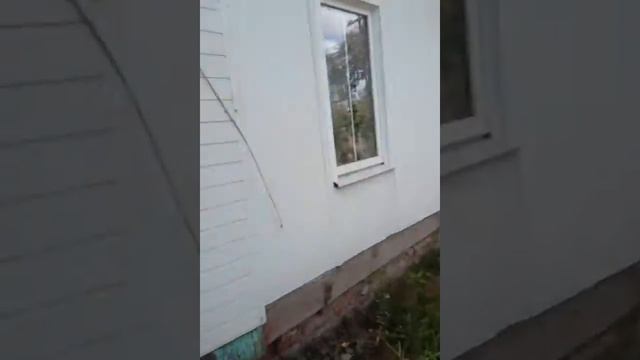 Цветок на улице2.Он всё таки расцвёл!
