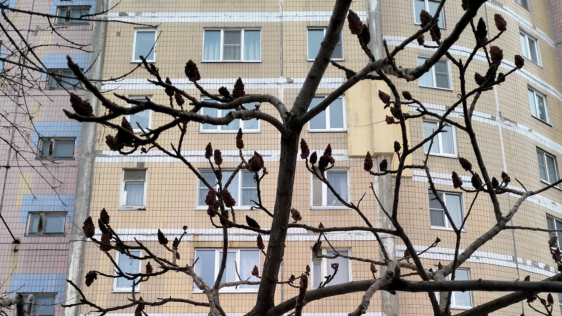 отвечаю на вопросики и делаю уроки