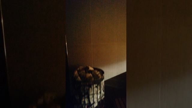 сауна интересный дизайн закругляеться с потолка на стену и на полок
