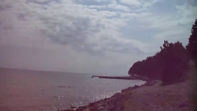 Море и сосны