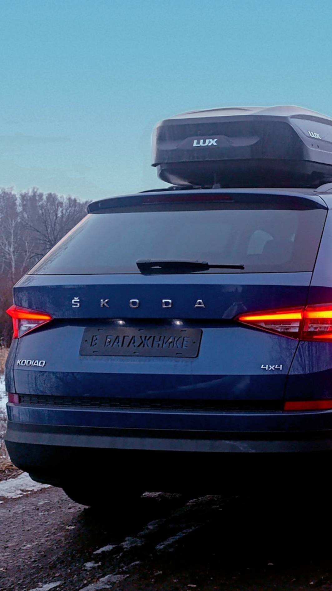 Мойка радиаторов Kodiaq после 90.000 км.